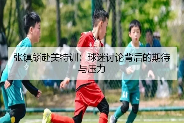 张镇麟赴美特训：球迷讨论背后的期待与压力